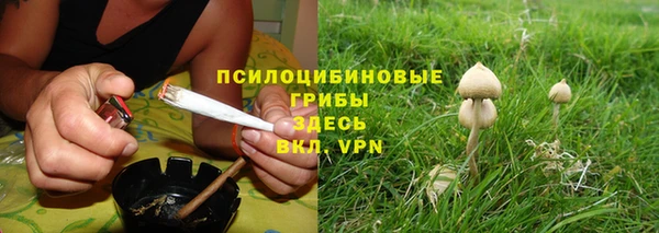 трава Богданович